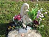 image of grave number 313199